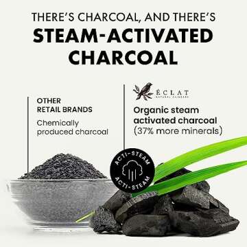 DETOXIFYING Charcoal Blackhead Peel Off Face Mask - Black Head Remover Mask for Face with Kaolin+Bentonite Clay, Organic Blackhead Removal Face Masks, Skincare Face Care Kit Pore Mask, Blackhead Extra