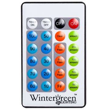 5-Ft LED Lighted Palm Tree - Remote Controlled Decor