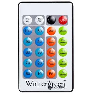 5-Ft LED Lighted Palm Tree - Remote Controlled Decor