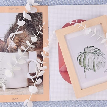 FEQO 36 Pcs White Eucalyptus Stems for Elegant Decor