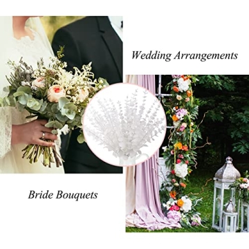 FEQO 36 Pcs White Eucalyptus Stems for Elegant Decor