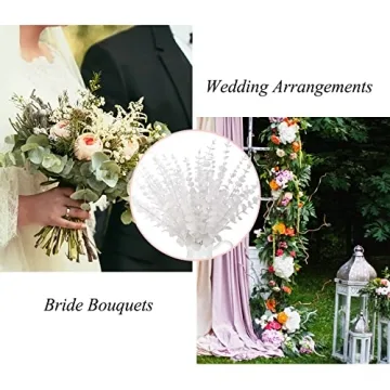 FEQO 36 Pcs White Eucalyptus Stems for Elegant Decor