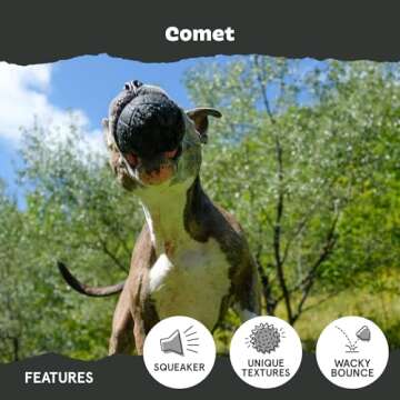 Barkbox Tough Dog Chew Toys for Aggressive Chewers