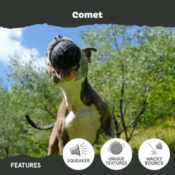 Barkbox Tough Dog Chew Toys for Aggressive Chewers