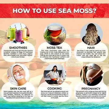 Irish Sea Moss Gel - Organic Strawberry Flavor - 10 oz