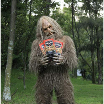 Jack Link's Zero Sugar Beef Sticks, Protein Snack 20ct