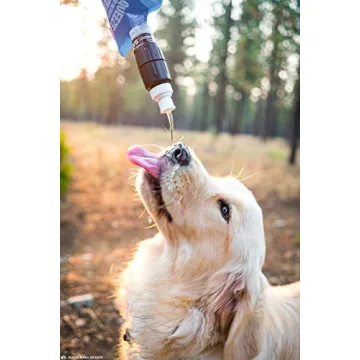 Sawyer Micro Squeeze Water Filtration System - Lightweight & Portable