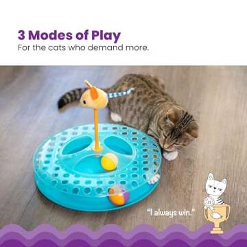 Catstages Cheese Chase Catnip Interactive Cat Track Toy