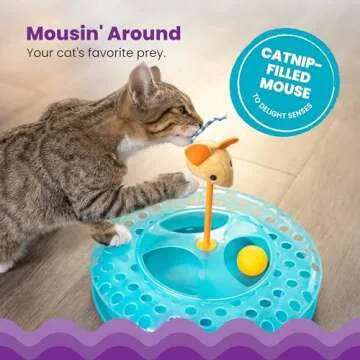 Catstages Cheese Chase Catnip Interactive Cat Track Toy