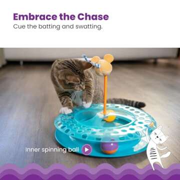 Catstages Cheese Chase Catnip Interactive Cat Track Toy