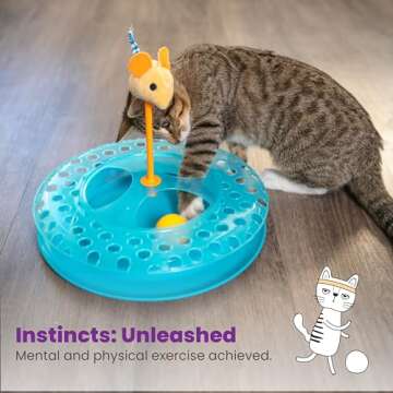 Catstages Cheese Chase Catnip Interactive Cat Track Toy