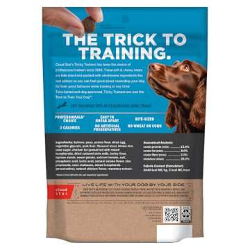Cloud Star Tricky Trainers Soft & Chewy Dog Training Treats 14 oz Pouch, Salmon Flavor, Low Calorie ...