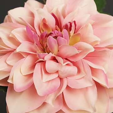 GLSATEMAN Artificial Flowers Silk Dahlia Long Stem Fake Flower 5 Pcs,Suitable for Wedding Decoration Bouquets,Core Decorations,Home Furnishings(Dark Pink)