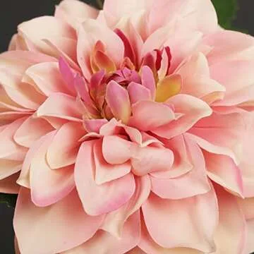 GLSATEMAN Dark Pink Dahlia Artificial Flowers - 5 pcs