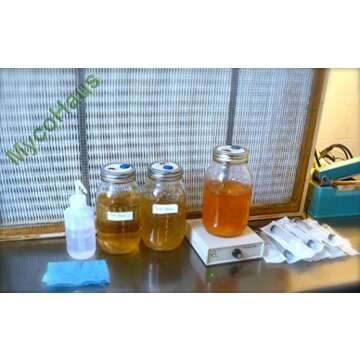 Premium Maitake Mushroom Liquid Culture Syringe - 10cc Live Culture