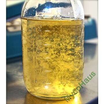 Maitake Mushroom Liquid Culture Syringe - 10cc Fresh Mycelium