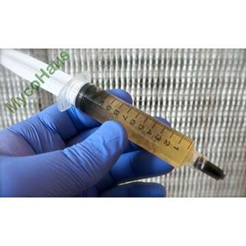 Maitake Mushroom Liquid Culture Syringe - 10cc Fresh Mycelium