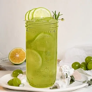 Stylish Fenspeed 2pcs Mason Jar Tumblers Set for Beverages