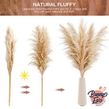 BunnyEar Pampas Grass - 5 pcs Large Stems, 48-inch Tall - Fluffy Plumes Floral Boho Home Décor – Natural Dried Flower Arrangements - Phragmites Communis Plant Decoration for Floor Vase Kitchen Wedding