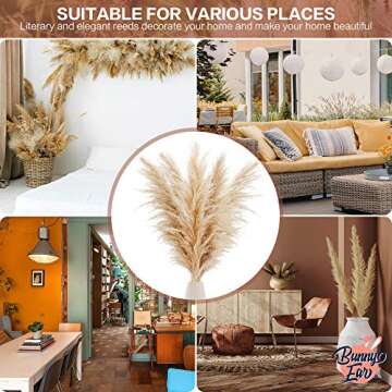 BunnyEar Pampas Grass - 5 pcs Large Stems, 48-inch Tall - Fluffy Plumes Floral Boho Home Décor – Natural Dried Flower Arrangements - Phragmites Communis Plant Decoration for Floor Vase Kitchen Wedding