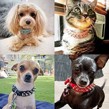 Dog Collars for Medium Dogs with Leash, Epesiri Spiked Dog Collar for Large Dogs, Dog Collar, Studded Rivet Pit Bull Leather Dog Collar Durable Cat Collar for Small Medium Large Pet Gift