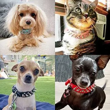 Dog Collars for Medium Dogs with Leash, Epesiri Spiked Dog Collar for Large Dogs, Dog Collar, Studded Rivet Pit Bull Leather Dog Collar Durable Cat Collar for Small Medium Large Pet Gift
