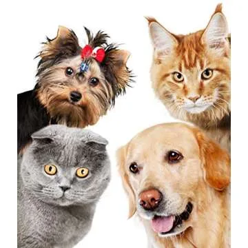 OLLOPETS Eye Care, Organic Homeopathic Remedy for All Pets, 1 Fl Ounce