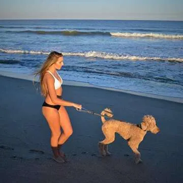 Black Rhino – Dog Leash Adjustable Length (3-5 Feet) with Soft Neoprene Padded Handle | Heavy Duty Lead for Easy Control | Small Medium Large Breeds | Reflective Stitching (Blue/Grey)