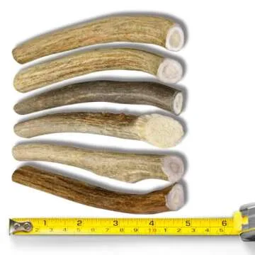 WhiteTail Naturals - Antlers for Small Dogs (6 Pack) Deer Antler Dog Chew Bones for Small Aggressive Chewers - Long Lasting Horn Chew Toys - Naturally Shed
