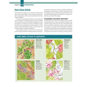 Gardening: The Complete Guide: Growing Secrets & Techniques (Creative Homeowner) Includes Directories on Annuals, Perennials, Bulbs, Biennials, Water-Garden Plants, Herbs, Vines, Fruits, & Vegetables