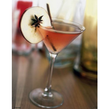 Cocktails in New York Bartending Guide for Home Mixologists