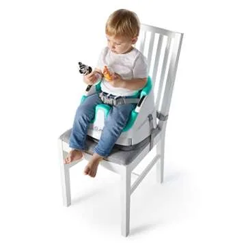 Baby Einstein Booster Seat for Feeding & Playtime