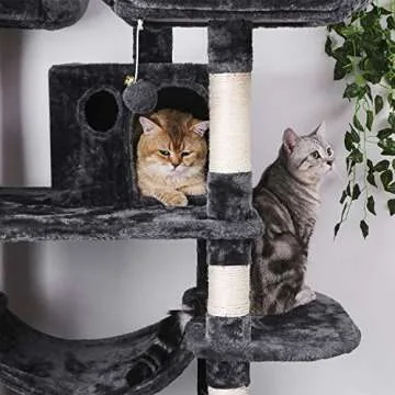 Buy BEWISHOME Large Cat Tree Condo for Indoor Cats