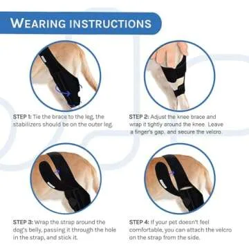 MerryMilo Dog Leg Braces for ACL Support and Recovery