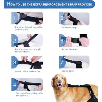 MerryMilo Dog Leg Braces for ACL Support and Recovery