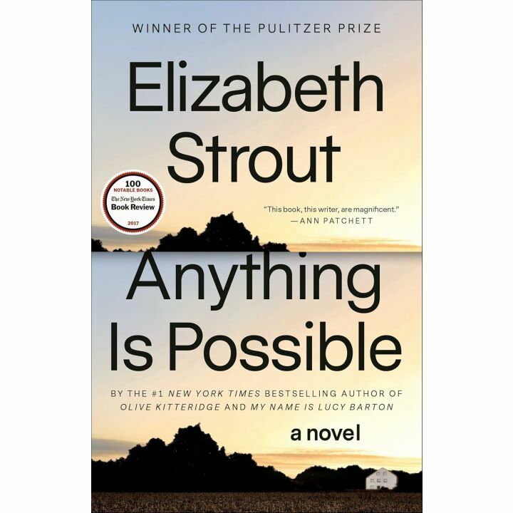Anything Is Possible: Captivating Novel of Hope