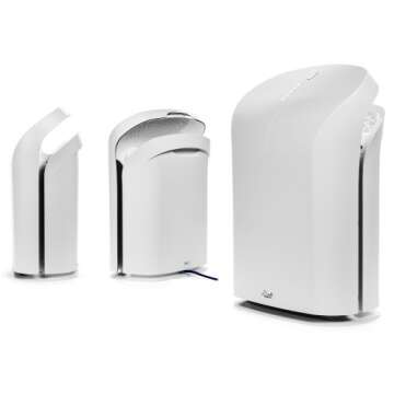 Rabbit Air BioGS 2.0 Ultra Quiet HEPA Air Purifier (SPA-550A White)
