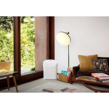 Rabbit Air BioGS 2.0 Ultra Quiet HEPA Air Purifier (SPA-550A White)