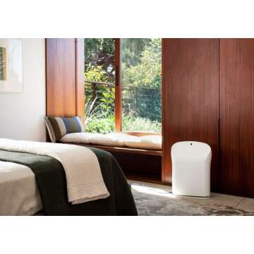 Rabbit Air BioGS 2.0 Ultra Quiet HEPA Air Purifier (SPA-550A White)