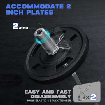 Olympic EZ Curl Bar for Weight Lifting & Muscle Training