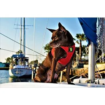 EcoBark XXS Harness - Perfect for Teacup Dogs and Pups