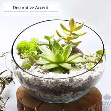 Elegant Royal Imports Clear Glass Slant Bowls for Decor