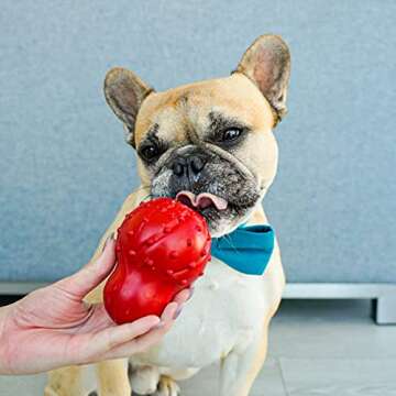 Nylabone Stuffable Cone Chew Toy for Dogs - Durable Rubber, Bacon Flavor, Small Size