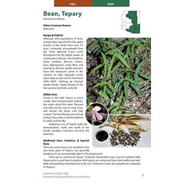 Wild Edible Plants of Arizona