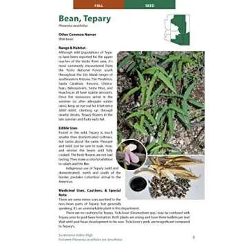 Wild Edible Plants of Arizona Guide for Foraging Lovers