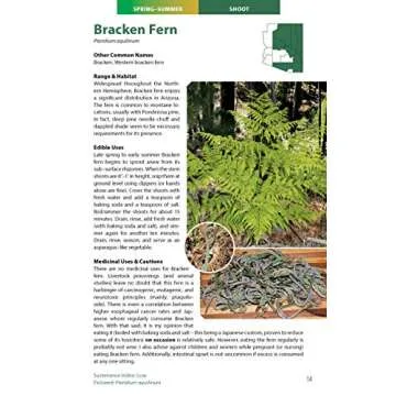 Wild Edible Plants of Arizona Guide for Foraging Lovers