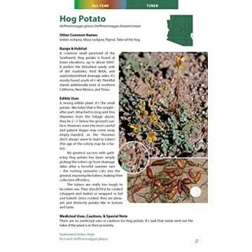 Wild Edible Plants of Arizona Guide for Foraging Lovers
