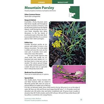 Wild Edible Plants of Arizona