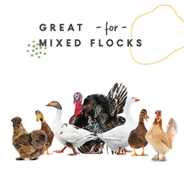 Harris Farms Professional 2 Gallon Metal Poultry Waterer