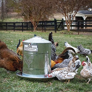 Harris Farms Professional 2 Gallon Metal Poultry Waterer